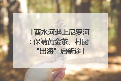 酉水河遇上尼罗河：保靖黄金茶、村厨“出海”启新途