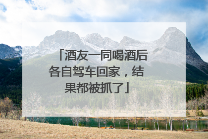 酒友一同喝酒后各自驾车回家，结果都被抓了
