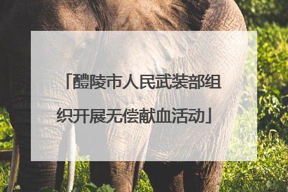 醴陵市人民武装部组织开展无偿献血活动