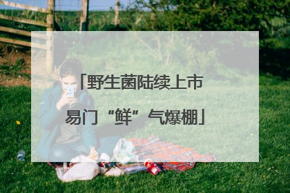 野生菌陆续上市 易门“鲜”气爆棚