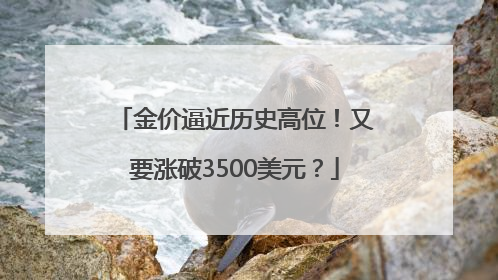 金价逼近历史高位！又要涨破3500美元？