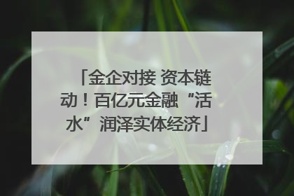 金企对接 资本链动！百亿元金融“活水”润泽实体经济