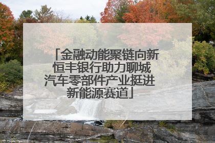 金融动能聚链向新 恒丰银行助力聊城汽车零部件产业挺进新能源赛道