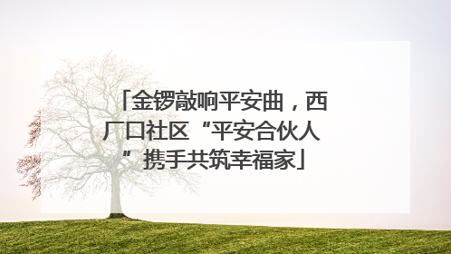 金锣敲响平安曲，西厂口社区“平安合伙人”携手共筑幸福家