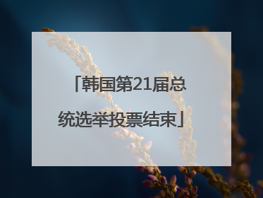 韩国第21届总统选举投票结束