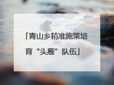 青山乡精准施策培育“头雁”队伍