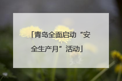 青岛全面启动“安全生产月”活动