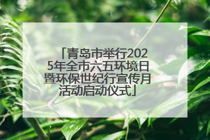 青岛市举行2025年全市六五环境日暨环保世纪行宣传月活动启动仪式