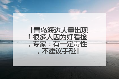 青岛海边大量出现！很多人因为好看捡，专家：有一定毒性，不建议手碰