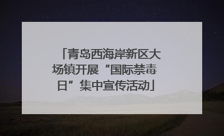 青岛西海岸新区大场镇开展“国际禁毒日”集中宣传活动