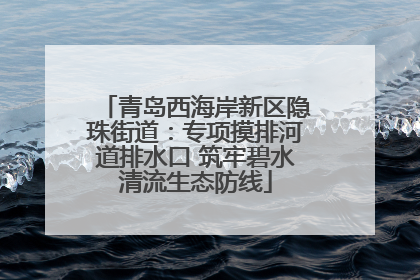 青岛西海岸新区隐珠街道：专项摸排河道排水口 筑牢碧水清流生态防线
