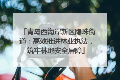 青岛西海岸新区隐珠街道：高效推进林业执法，筑牢林地安全屏障
