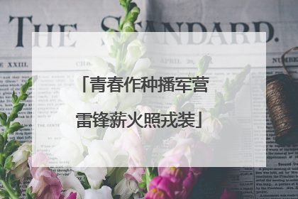 青春作种播军营 雷锋薪火照戎装