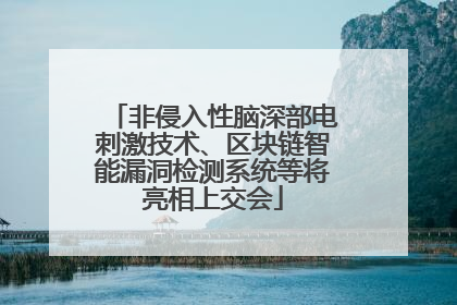 非侵入性脑深部电刺激技术、区块链智能漏洞检测系统等将亮相上交会