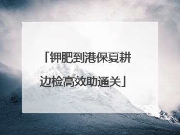 钾肥到港保夏耕 边检高效助通关