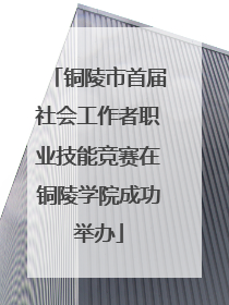 铜陵市首届社会工作者职业技能竞赛在铜陵学院成功举办