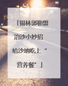 锡林郭勒盟治沙小妙招 给沙地吃上“营养餐”