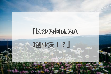 长沙为何成为AI创业沃土？