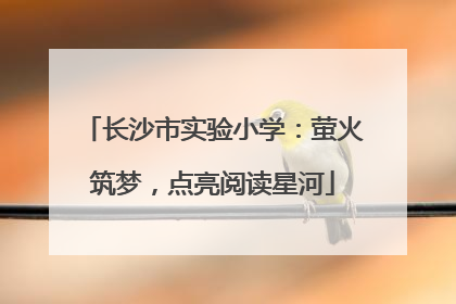 长沙市实验小学：萤火筑梦，点亮阅读星河