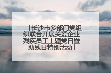 长沙市多部门党组织联合开展关爱企业残疾员工主题党日暨助残日特别活动