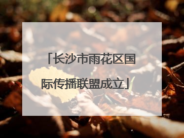 长沙市雨花区国际传播联盟成立