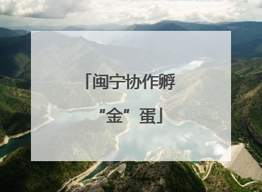 闽宁协作孵“金”蛋