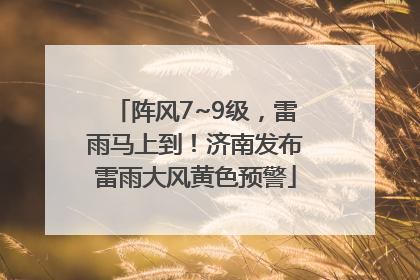 阵风7~9级，雷雨马上到！济南发布雷雨大风黄色预警