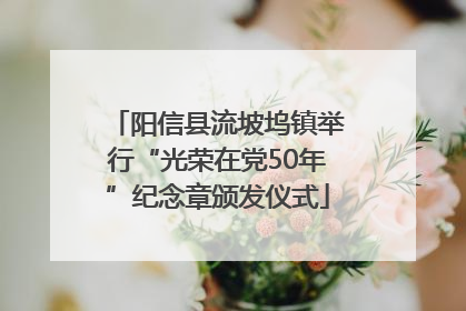 阳信县流坡坞镇举行“光荣在党50年”纪念章颁发仪式