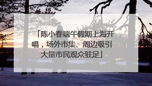 陈小春端午假期上海开唱，场外市集、周边吸引大量市民观众驻足