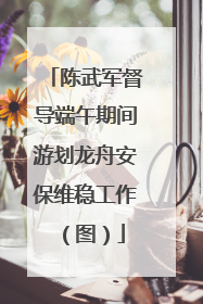 陈武军督导端午期间游划龙舟安保维稳工作（图）