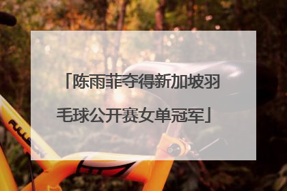 陈雨菲夺得新加坡羽毛球公开赛女单冠军