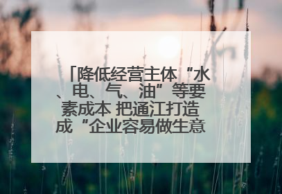 降低经营主体“水、电、气、油”等要素成本 把通江打造成“企业容易做生意的地方”
