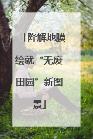 降解地膜绘就“无废田园”新图景