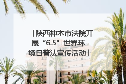 陕西神木市法院开展“6.5”世界环境日普法宣传活动