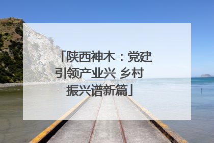 陕西神木：党建引领产业兴 乡村振兴谱新篇