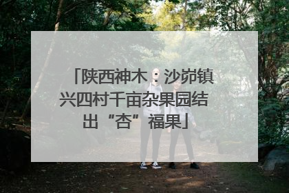 陕西神木：沙峁镇兴四村千亩杂果园结出“杏”福果