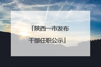 陕西一市发布干部任职公示