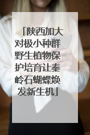 陕西加大对极小种群野生植物保护培育让秦岭石蝴蝶焕发新生机