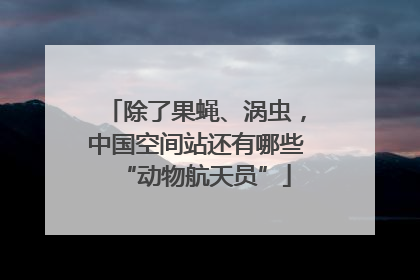 除了果蝇、涡虫，中国空间站还有哪些“动物航天员”