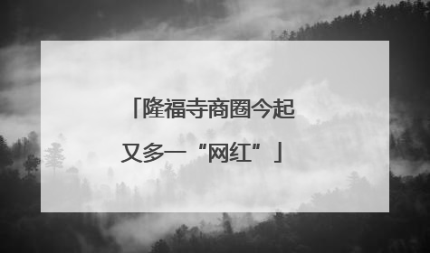 隆福寺商圈今起又多一“网红”