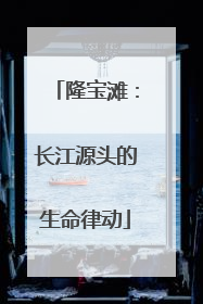 隆宝滩：长江源头的生命律动