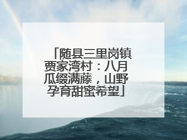 随县三里岗镇贾家湾村：八月瓜缀满藤，山野孕育甜蜜希望