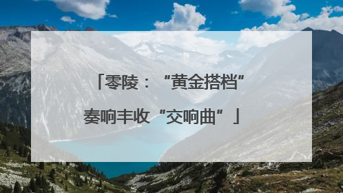 零陵：“黄金搭档”奏响丰收“交响曲”