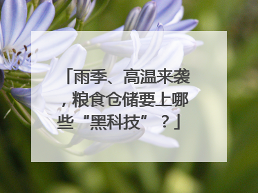 雨季、高温来袭，粮食仓储要上哪些“黑科技”？