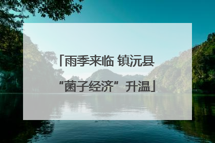 雨季来临 镇沅县“菌子经济”升温