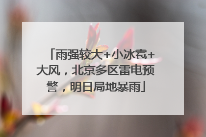 雨强较大+小冰雹+大风，北京多区雷电预警，明日局地暴雨