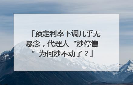 预定利率下调几乎无悬念，代理人“炒停售”为何炒不动了？