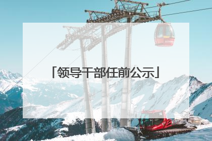 领导干部任前公示
