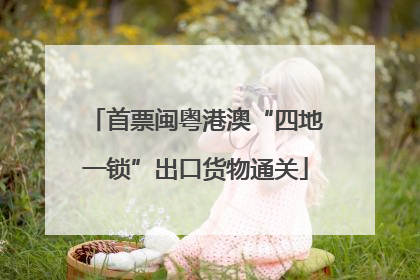 首票闽粤港澳“四地一锁”出口货物通关