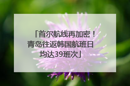 首尔航线再加密！青岛往返韩国航班日均达39班次